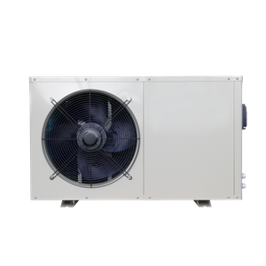 Scaldabagno a pompa di calore per piscina 5KW/6KW/8KW/12KW/16KW/30KW R410a Tradition Metal - Serie YC